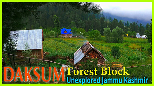 Daksum – Hidden Forests of Kashmir