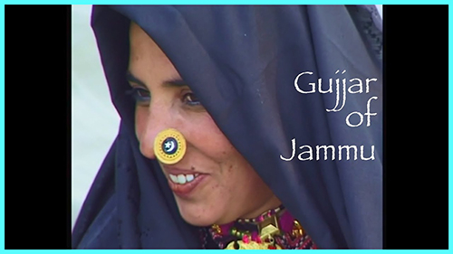 Doodhi Gujjars – In the Line of Fire